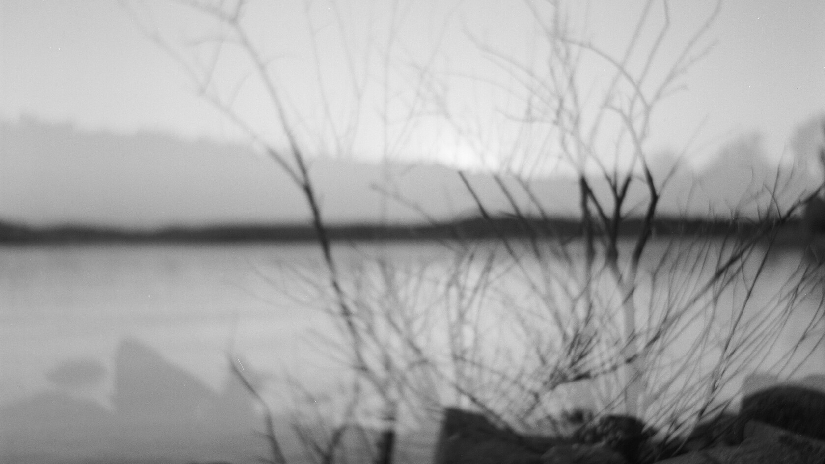 Arte das Musas | Fora do Lugar