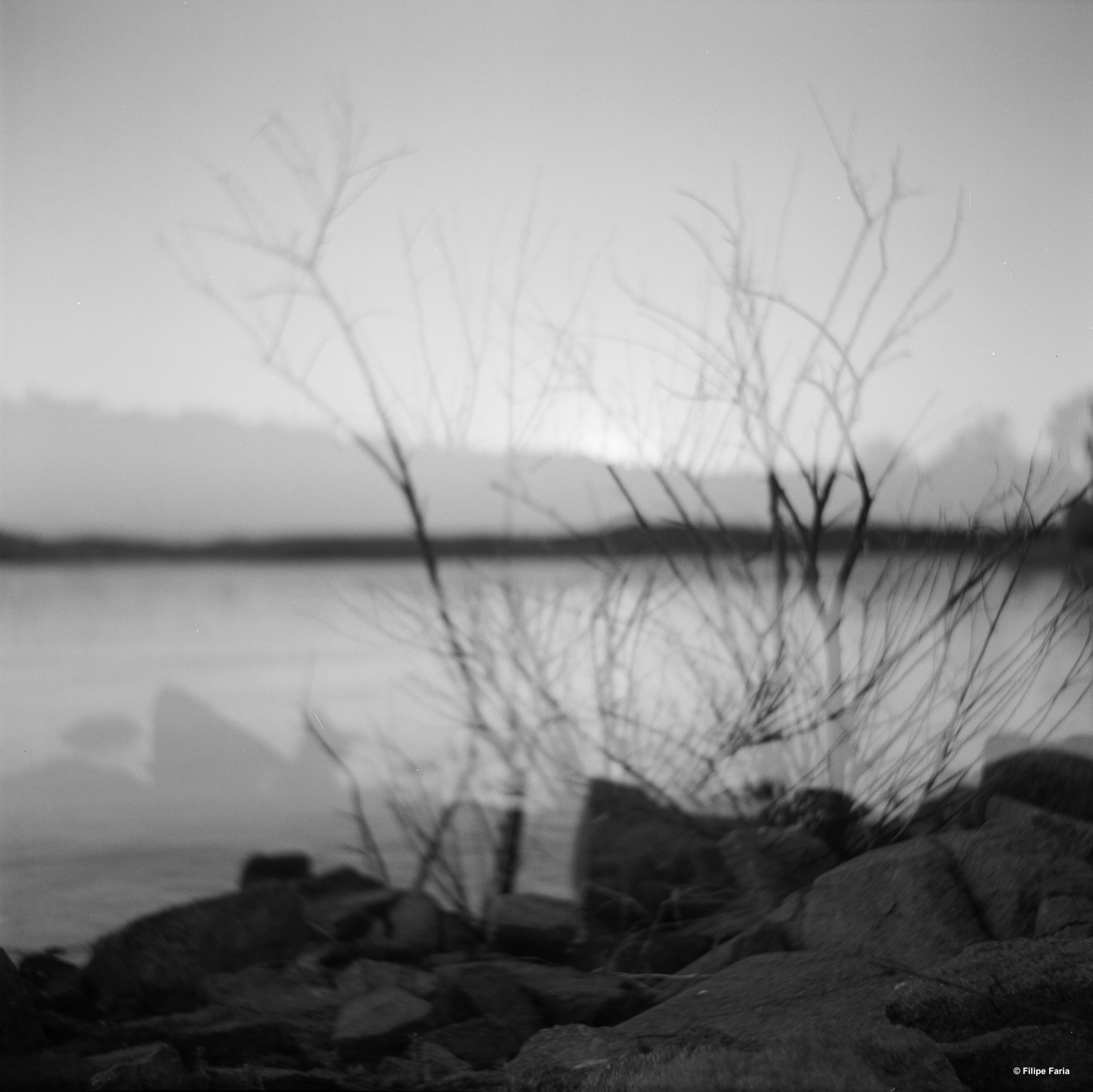 Arte das Musas | Fora do Lugar