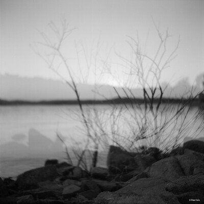 Arte das Musas | Fora do Lugar