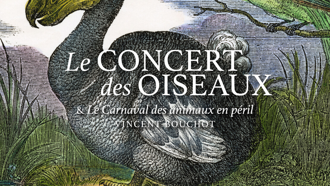 La Rêveuse - The Bird Concert