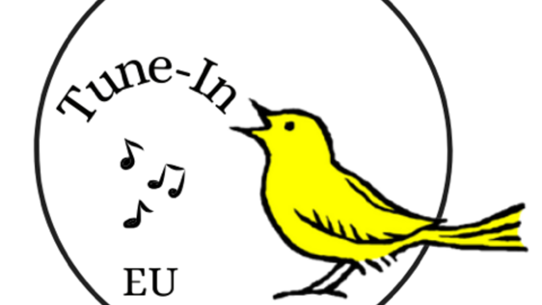 Webinaire Tune-In n°2 : Récit et perspectives historiques