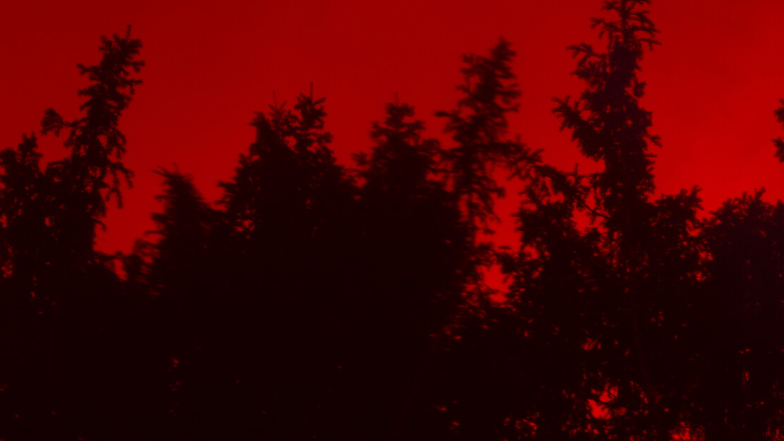 zamus: early music festival | Adio Querida | Me La Amargates Tú