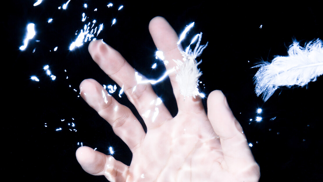 zamus : festival de musique ancienne | Orpheus' Echo | Per-Sonat