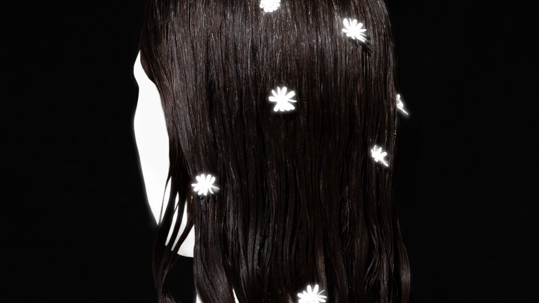 zamus : early music festival | J'ai peur de mourir. Que dois-je faire ? | CONTINUUM