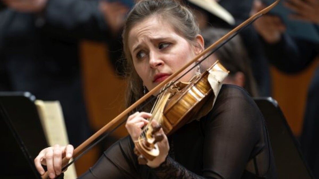 Hensel, Mayer – Licht im Schatten