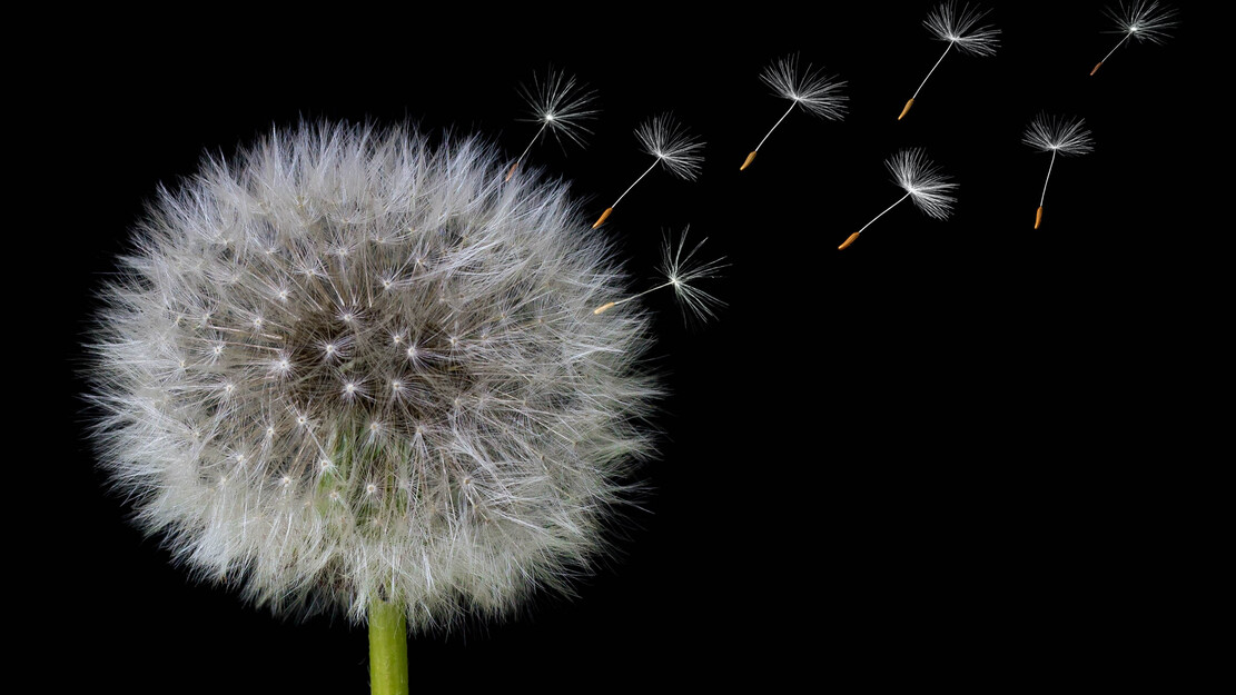 Festival BAROQUE STORIES - Reflections, crossings, reinterpretations