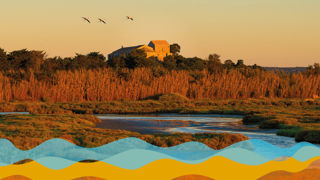  MAGUELONE EARLY MUSIC FESTIVAL