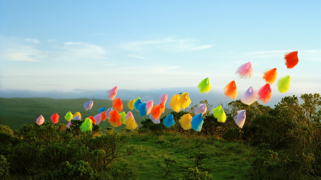 Bach Academy Bruges 2025