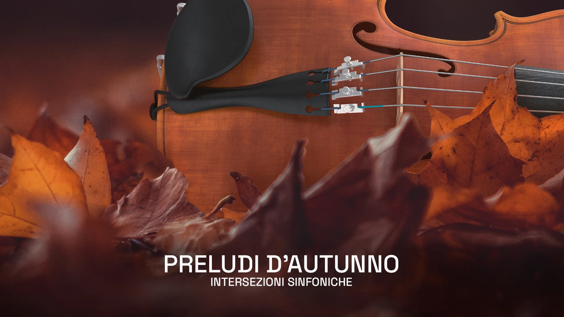 Come l’Araba Fenice