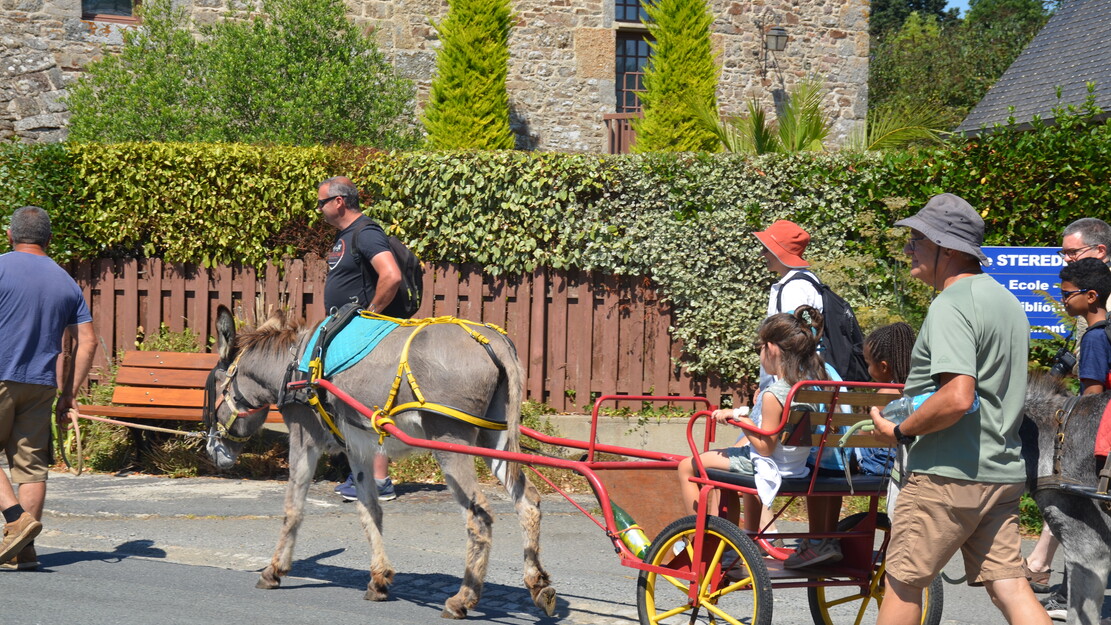 Déambulations Baroques