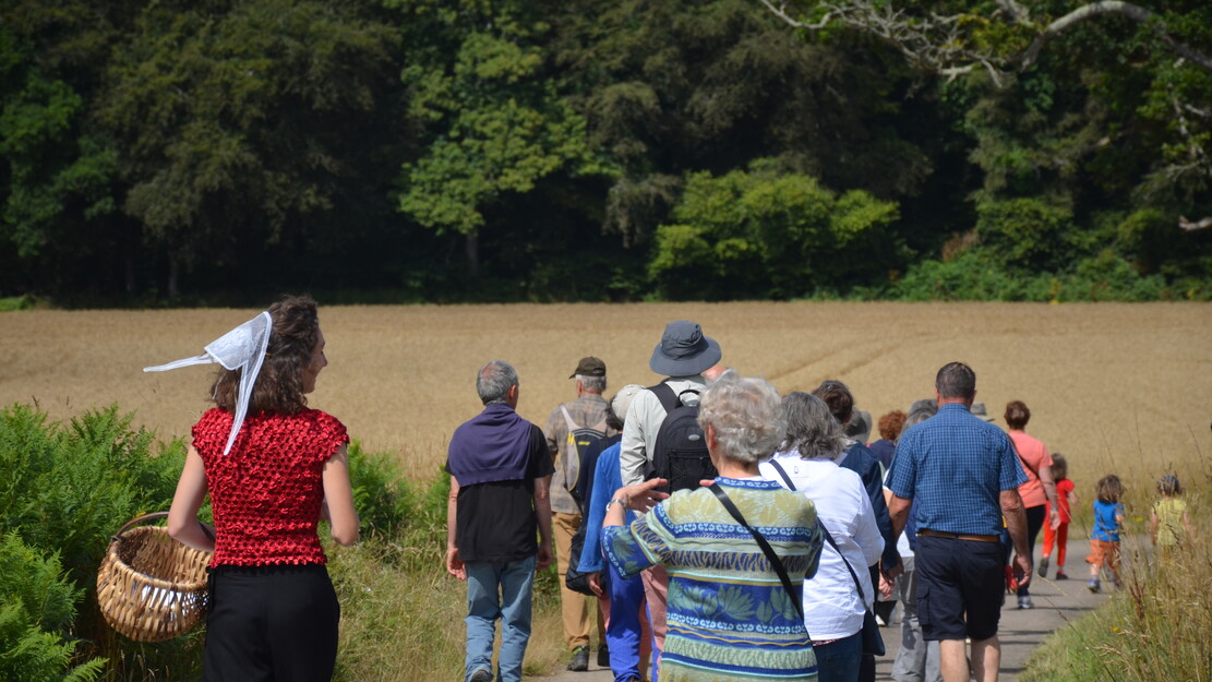 Déambulations baroques