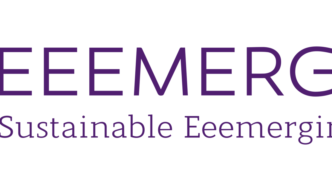 Your application to the Sustainable-EEEMERGING young ensembles support programme