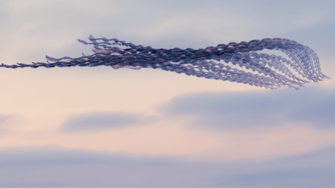 Bach Academy Bruges 2026 / It's a family affair