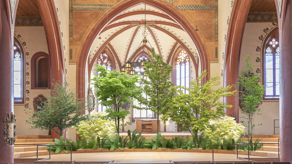 «Arcadia» ReRenaissance Festival 