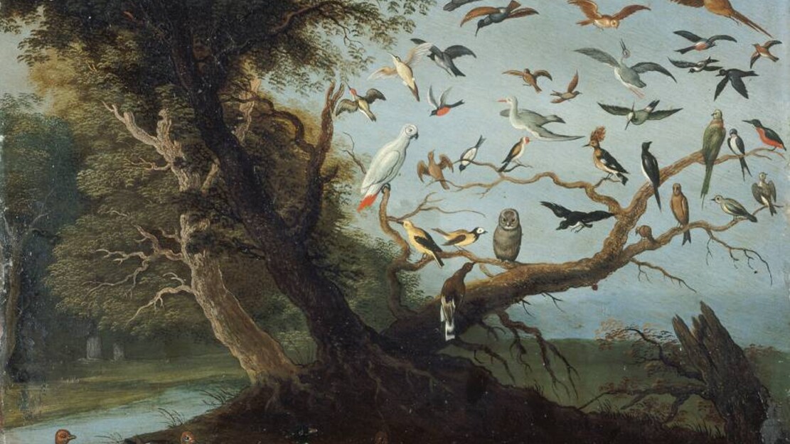 From songbirds to mechanical birds, or how science has interfered with birdsong