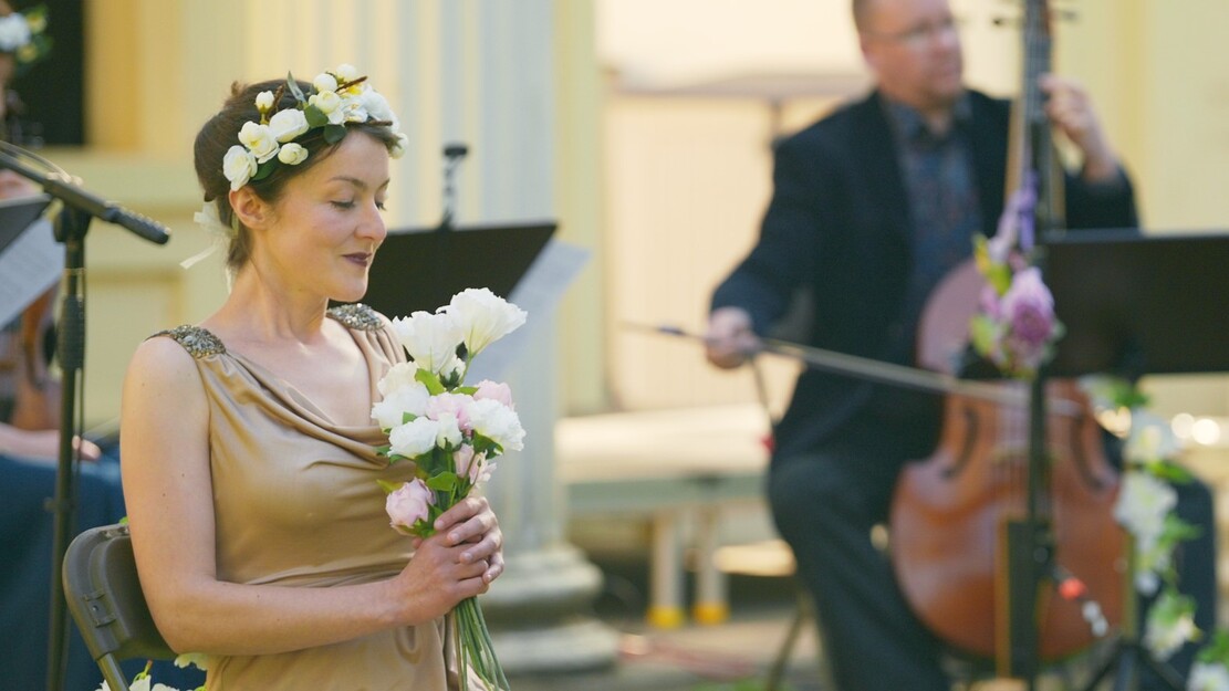 Flauguissimo: Vikings and Vagabonds