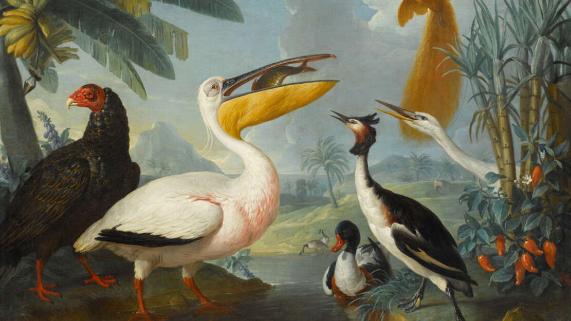 The Fabulous Story of Birds in Music