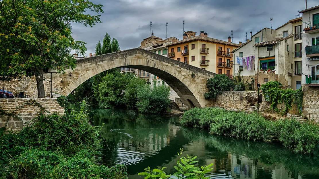 REMA Regional meeting: Estella