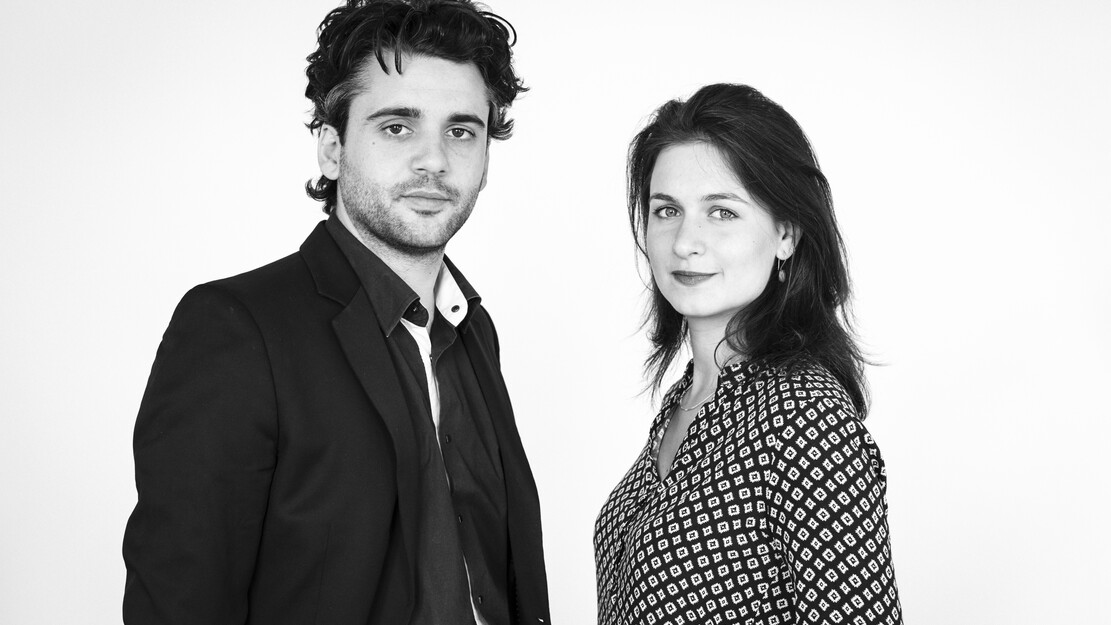 THE DUBHLINN GARDENS