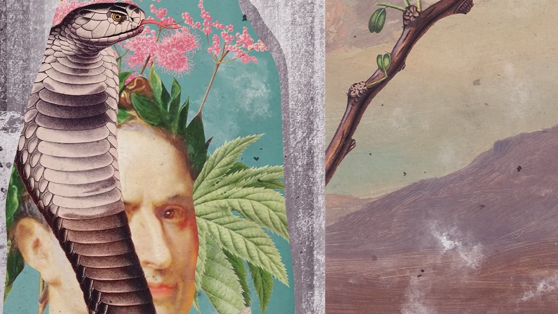 Giulio Cesare, Händel