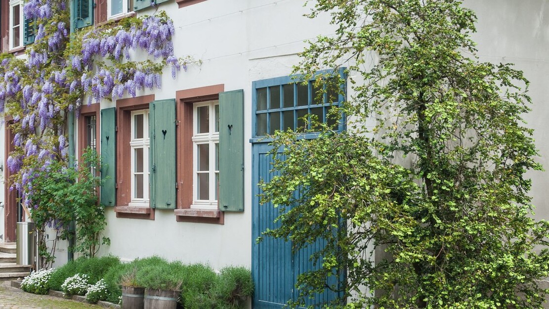 Un modèle de direction innovant pour la Schola Cantorum Basiliensis