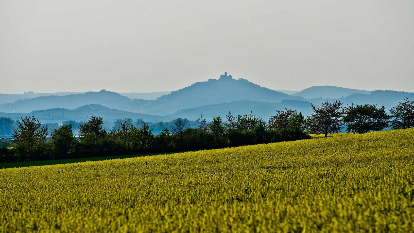 THURINGIA BACH FESTIVAL