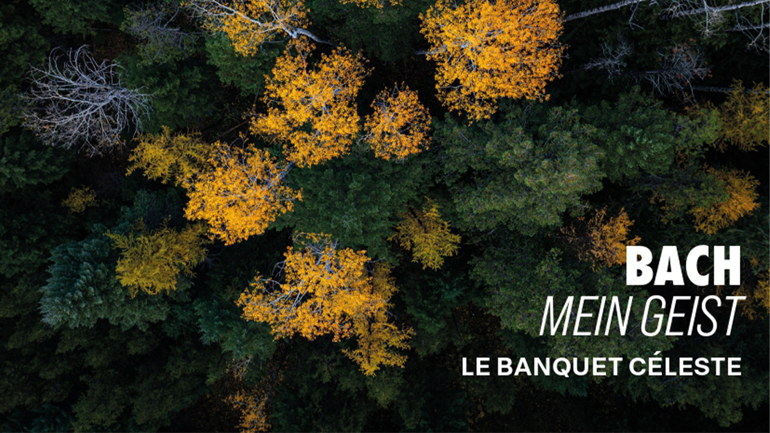Mein Geist - Cantates de Bach