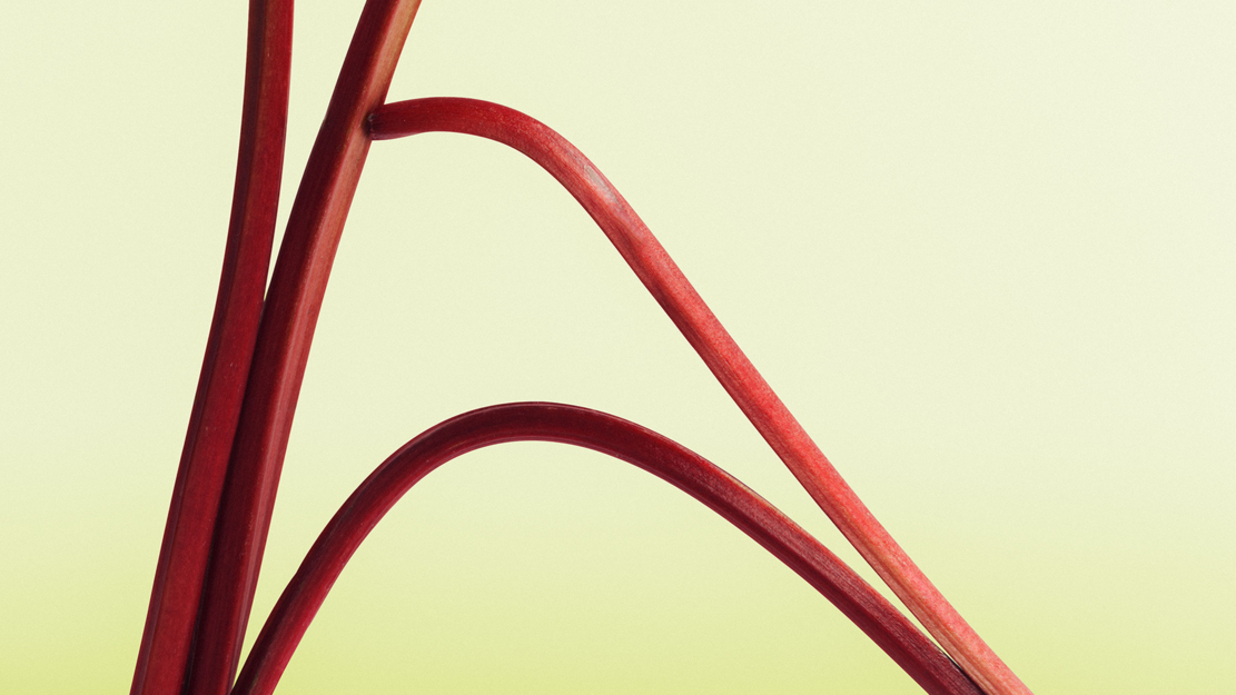 Echoes of Heritage – Von uralten geistlichen Gesängen bis zu zeitgenössischen Liedern | zamus: early music festival 2026