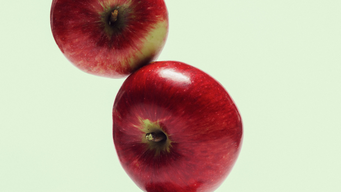 zamus: academy – junge Talente | zamus: early music festival 2026