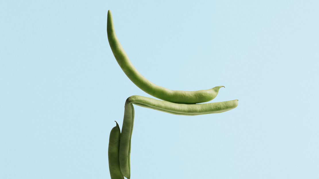 Das unvollendete Paradies – Motetten voller Trost und Geborgenheit | zamus: early music festival 2026