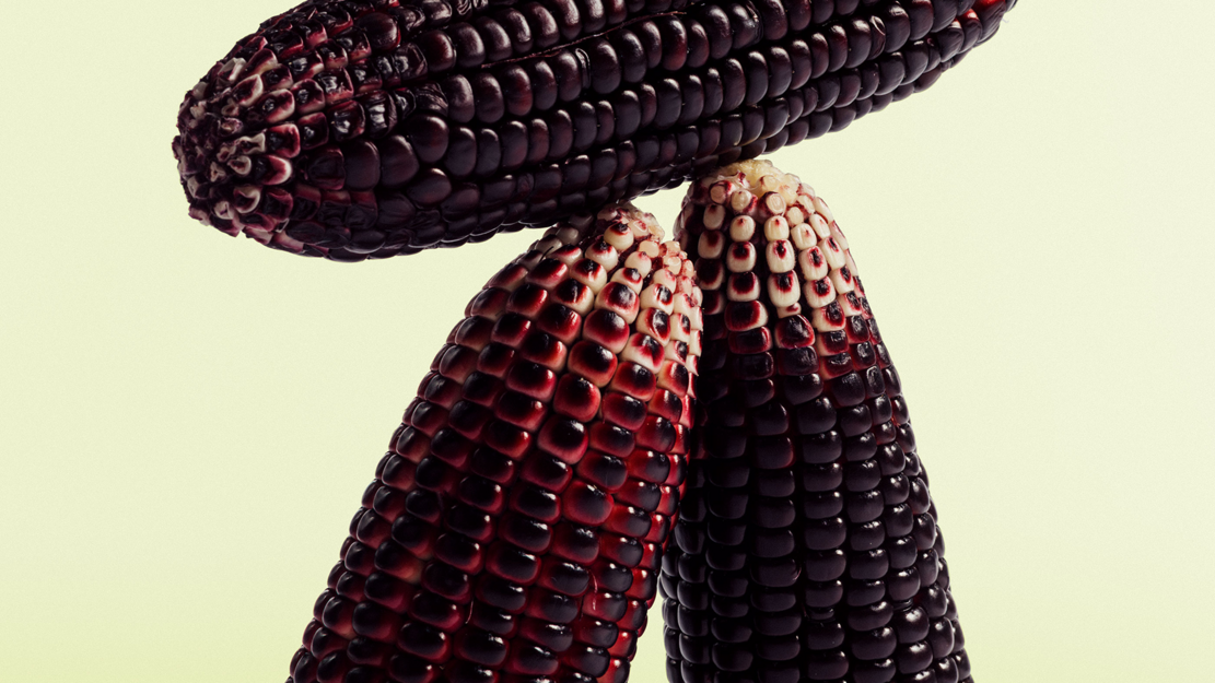 Cassandras Stimme – Visionen und Warnungen vor dem Untergang aus älterer und jüngerer Vergangenheit | zamus: early music festival 2026