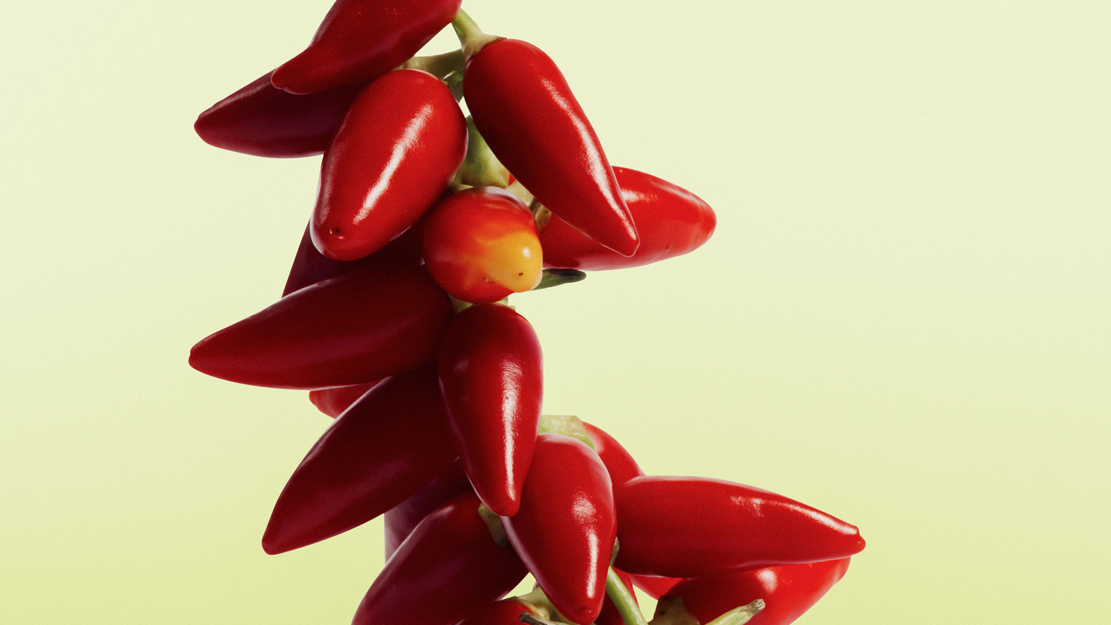 Die gestohlene Zeit – Stummfilm mit Musik | zamus: early music festival 2026