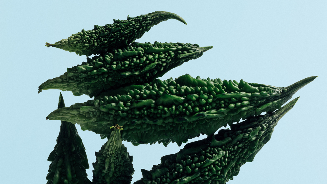 Die ganze Welt war einmal… – Musikalische Reflexionen zu Szenen und Themen aus John Miltons „Paradise Lost“ | zamus: early music festival 2026