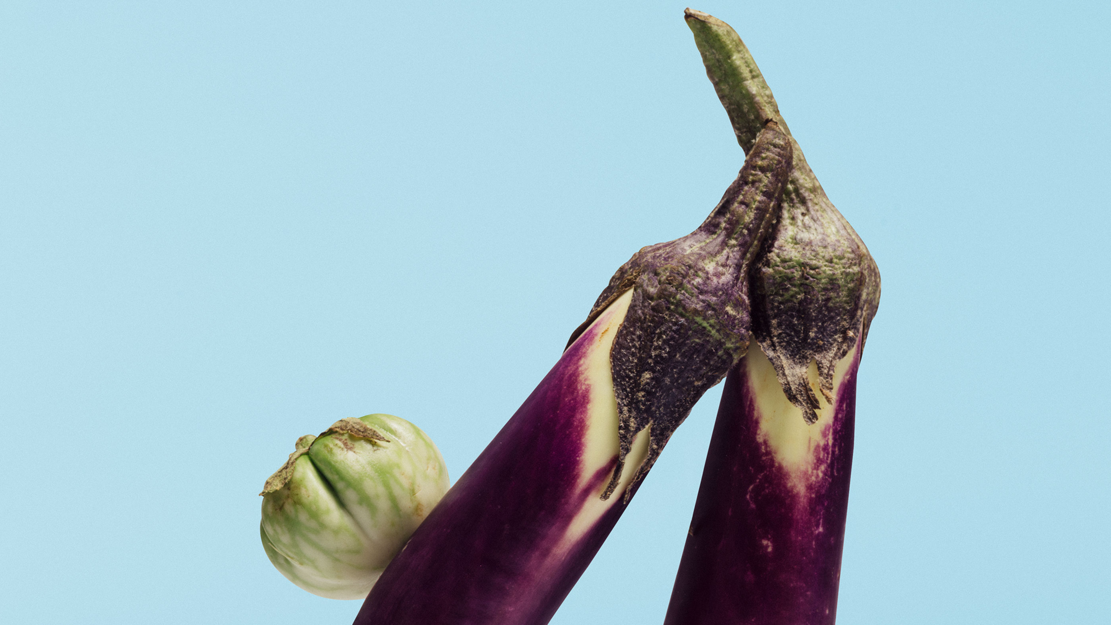 Cobalt Garden – Ein choreografisches Konzert | zamus: early music festival 2026