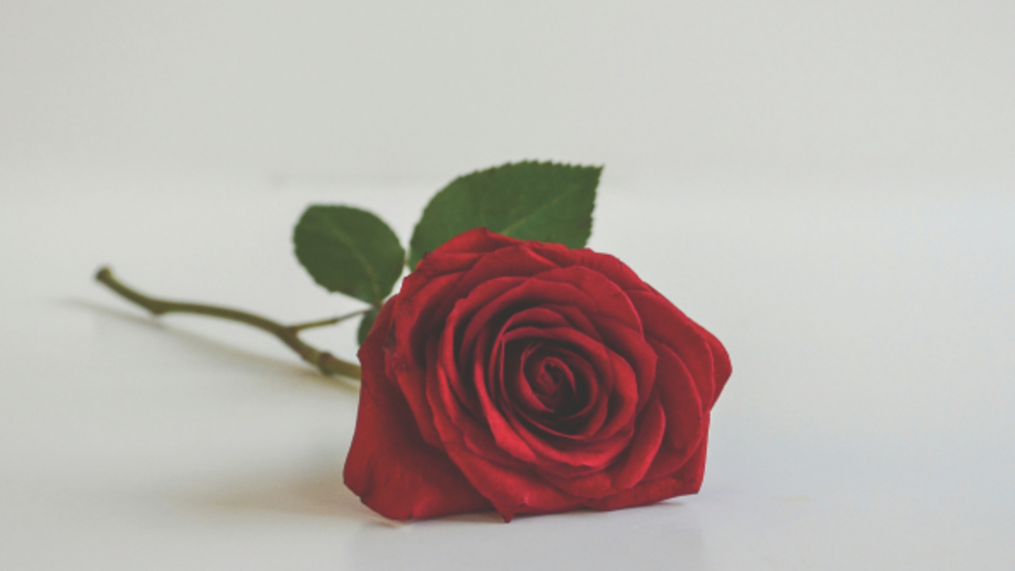 The Truth about Love